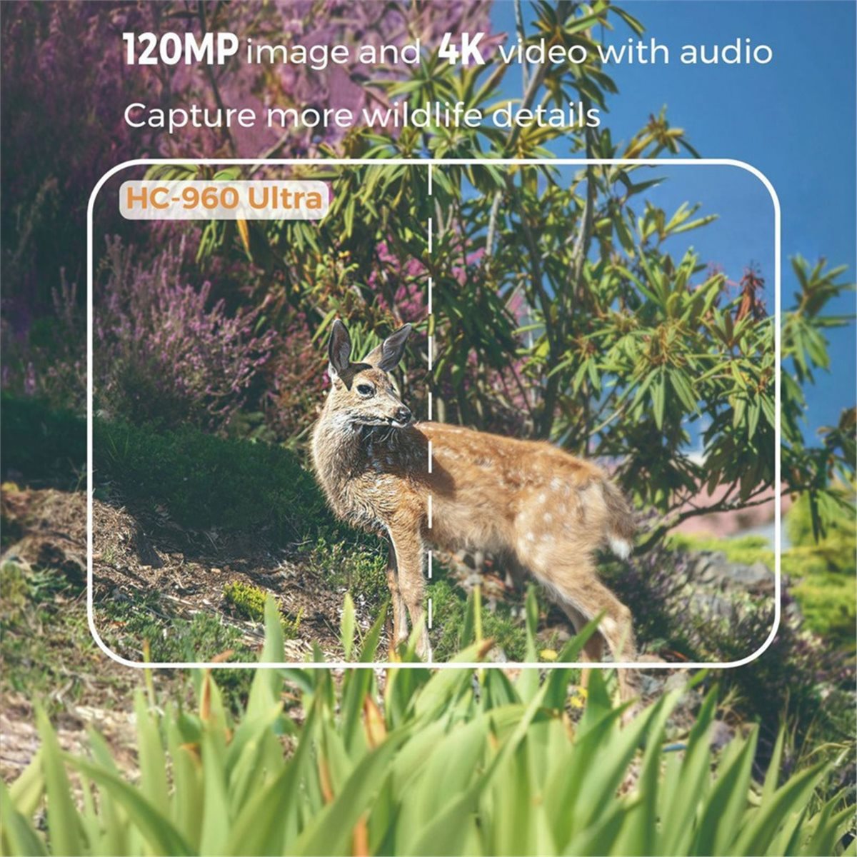 update. Outdoor 4G 120MP 4K Li - Hunting And Outdoor Shows recension och pris